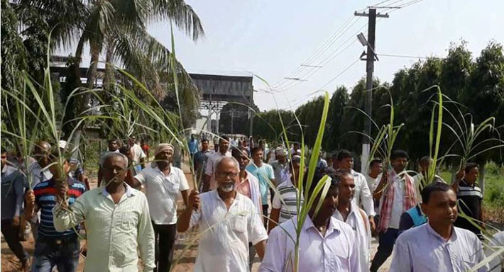 चाडपर्वको मुखमा पनि पाएनन् सर्लाहीका उखु किसानले अनुदान