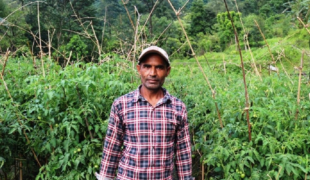 ‘मन लगाएर व्यावसायिक कृषि गरे कमाउनकै लागि विदेश जानुपर्दैन’