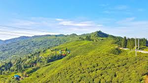 जलविद्युत् आयोजनाहरु निर्माणपछि औद्योगिकीकरणतर्फ फड्को मार्दै इलाम