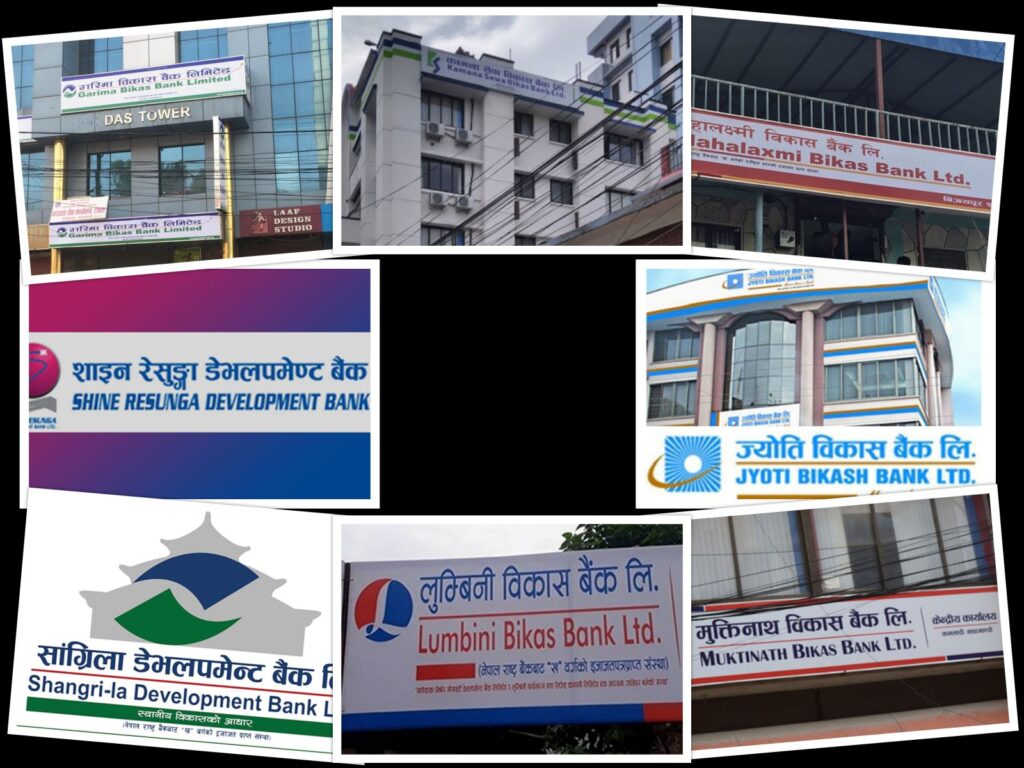 वाणिज्य बैंकलाई नाफामा पछि पार्दै विकास बैंक