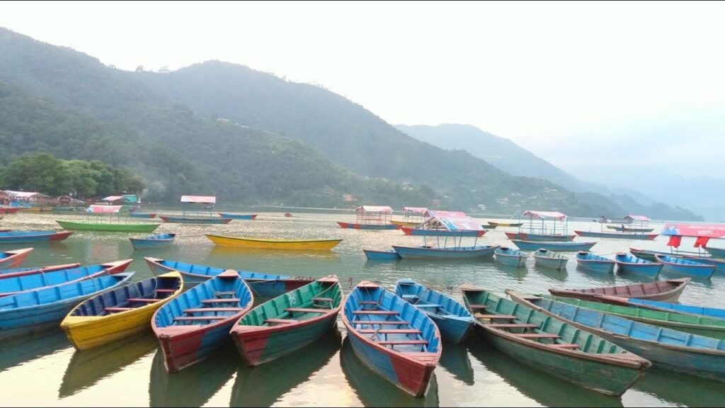 व्यक्तिका नाममा फेवातालको २५ सय रोपनी