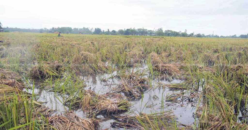 उत्पादन घट्ने, खाद्य संकट बढ्ने