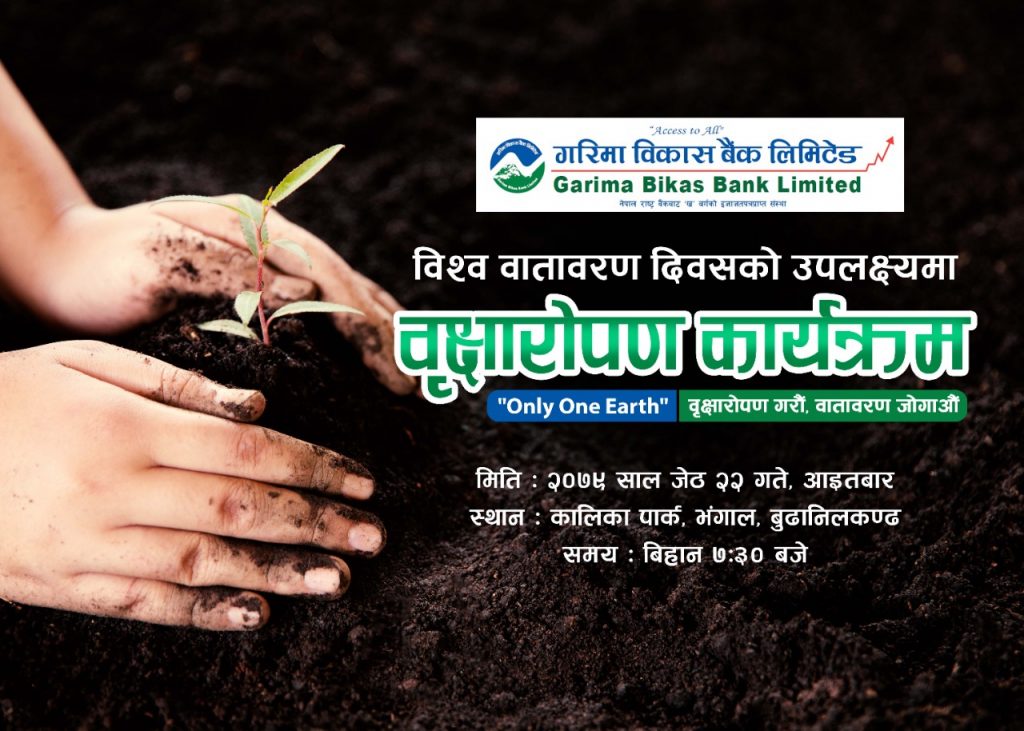 गरिमा विकास बैंकदारा बृहत बृक्षारोपण कार्यक्रम सम्पन्न