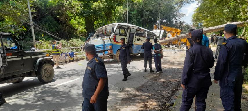 भक्तपुरमा रुख ढलेर बस र स्कुटर च्यापिँदा ३ जनाको ज्यान गयो