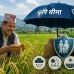 कृषि बिमा अनुदानमा नयाँ व्यवस्था, १ करोडसम्म ८० प्रतिशत